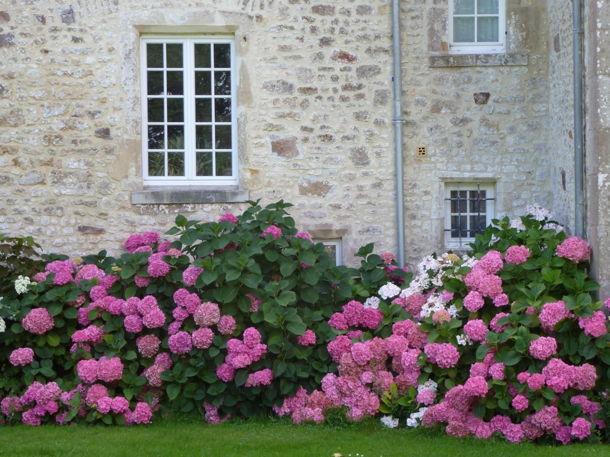 Manoir De Savigny Bed & Breakfast Вальон Екстериор снимка