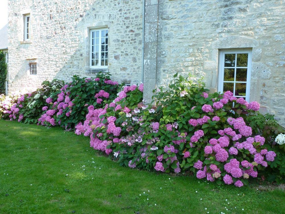 Manoir De Savigny Bed & Breakfast Вальон Екстериор снимка